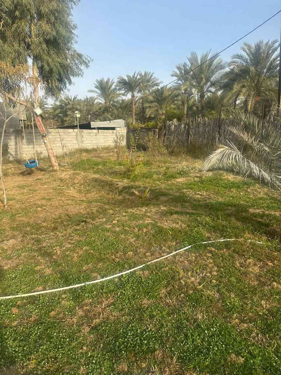 مزرعة للبيع
المساحة 1100متر زنجيل على شارعين طابو صرف رسمي طابو 25 سند 25 طابو الاعظمية  لا مملوك ولا عقد ولا وقف منطقة الجلاعطة تبعد عن جزيرة بغدادالسياحيه 10 دقايق بالسياره بستان بيت شاهين قرب جامع النور
الوجه 22 ونص على شارع عشره ووجه 16 على شارع 8 نزال 55 تحتوي على دار استراحة بيت متكامل سندويش بنل يحتوي على غرفتين واستقبال وخدمات كامله موثث وجاهز من غرفتين نوم واستقبال ومطبخ وخدمات مزروعة من نخل وحمضيات وعنب وتين وكافة الشتلات وحديقة متكامله ومسيجة بالكامل تحتوي على منظومة تقطير كامله ماء اساله من الشارعين وماء بير وكهرباء وبلوجكترات من الشارعين البيت جاهز من كلشي والمزرعة جاهزة من زرع وحديقة وشوايات ومنطقة سكنية تصلح مزرعة للايجار اذا انظاف الهه مسبح وترتيبات بسيطه وترهم دار استراحه واستثمار وسكن 

منطقة هادئة وناس مرتبين السعر مناسب 
متوفر  وواتساب واتصال ***********
