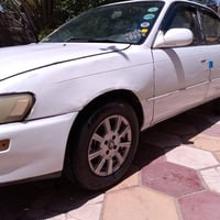 كورلا • ١٩٩٣ • نجف عباسيه