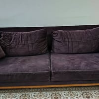 تخم قنفات تركي اصلي السعر مليون دينار  الاتصال على الرقم ٠٧٨٠٧٢٨٧٥٢٦