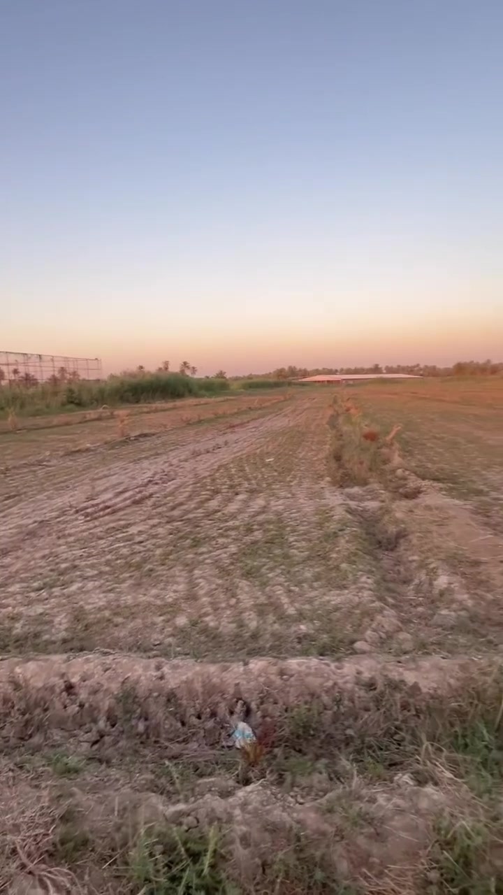 السلام عليكم (2) دونم طابو زراعي سند 25
العنوان كربلاء طوريج #قضاء #الخيرات شارع الرابط بين قضاء الخيرات وأم روايه #الجديد أرض مخدومة ماء كهرباء #طوارئ ماء سقي متوفر الواجهة 25 متر
مزروعة نخيل جديد متنوع  
قرب ملاعب  ال ضمد 
الاتصال الرقم ***********
