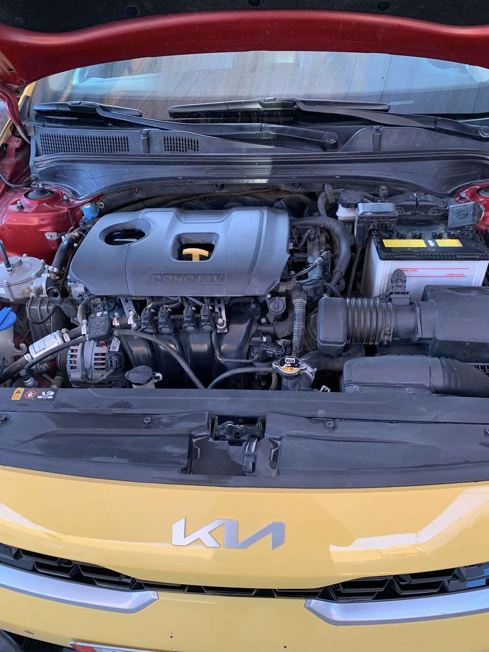 سلام عليكم كيا فورتي موديل 22 ماشيه 170الف منضومه غاز
منضومه زنون  حادثه طخه بل بنيد  وجاملغ راجع بارد مرقم

 بغداد ب اسمي  سعر 145 مكينه فقط كور مفتوح  مكينه مكفوله 
مكاني بغداد رقم الهاتف ***********
