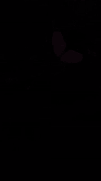 سلام عليكم دراجه ماكس ثلعب للبيع دراجه نضيفه ويرادله شويه ترتيب نقصه سلف وكلجات شويه تعبان رايده200وبيه مجال الاستفسار ***********بس واتساب
