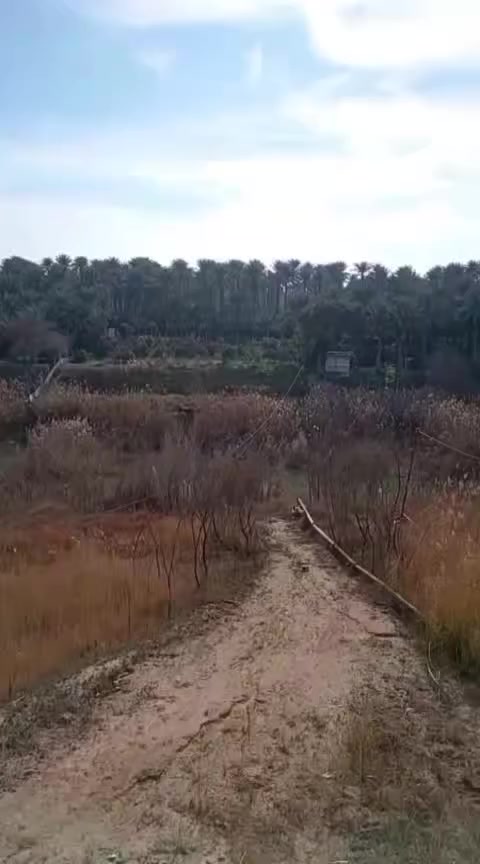 السلام عليكم من رخصت مسؤل الكروب 🌹 وافق حداده عامه وسمكره هاتف *********** واتساب 🚁🚁🛺🛺🌹
