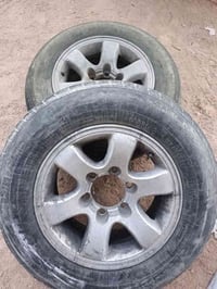 دشبول بريجو • ضفيره • أبو الخصيب