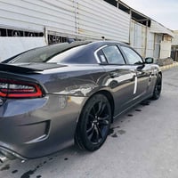 جايجر • ٢٠١٦ • رقم بصره