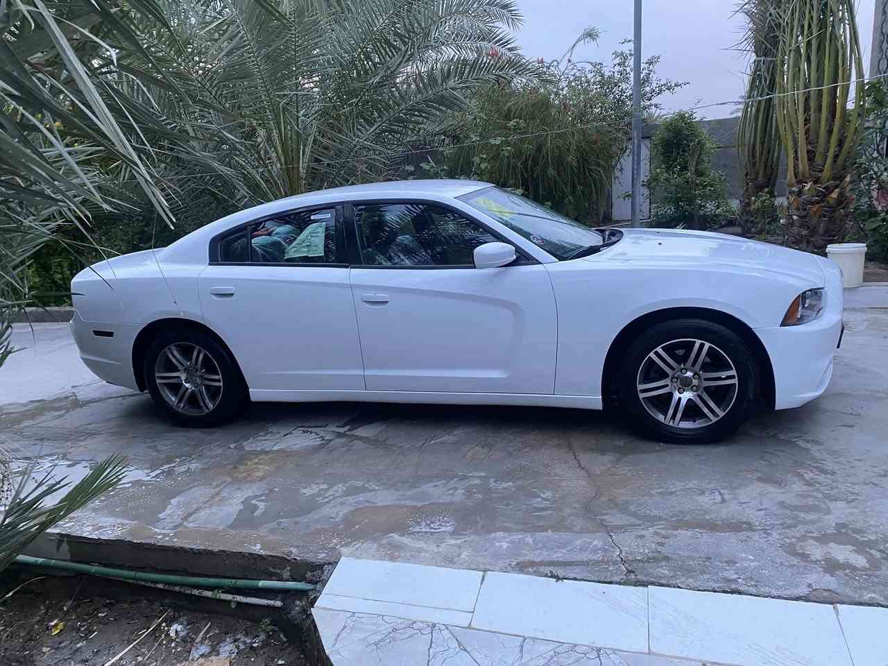 يالله السلام عليكم
لبيع دوج جارجر 2014 رقم اربيل سنوية ل30 
مكينة ٣٦٠٠ تويل 
وارد خليجي كلين تايتل سيارة كفالة عامة من الصبغ والتبديل والفتح بيها جرات كارت فقط بل بلبيان فقط هذا 
سيارة جديدة كلش سيارة جاهزة خير من الله مكينة گير حدادة لوك  اكسن تبريد تخم تاير ويل ١٨خليجي بدون اي نواقص 
السعر 167وبيها مجال لشراي 
مكاني بصره قضاء القرنة
***********
