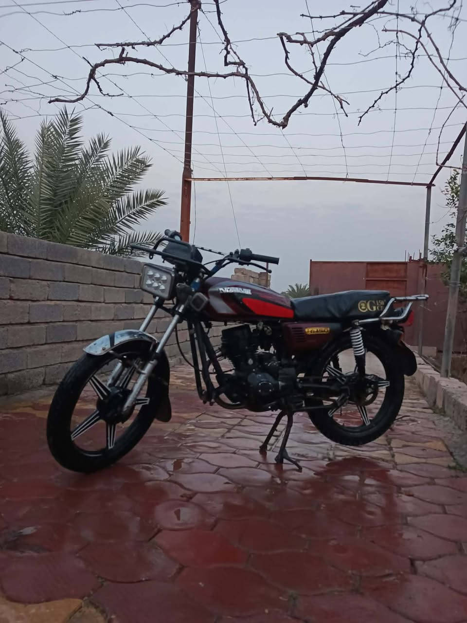 سلام عليكم دراجة البيع جني 5كير محرك ناعم مجفت جديد نشاط فول نكرسلف كهربائيات شغاله تأيرات  جديد مكان بيجي سعر 280بهامجال شراي ويرهم مراوس تصال ***********
