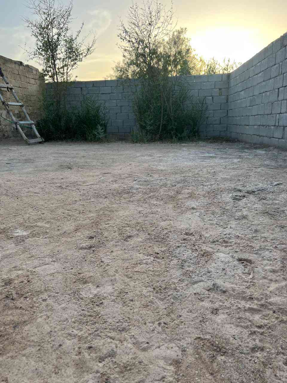 بيت حواسم للبيع مامعوض مساحه 300متر الشيشان الثانيه قرب علوه المخضر البيت فارغ كامل الخدمات اتصال على الرقم ***********مكلف بلنشر السعر 7500وبيه مجال كلش قليل
