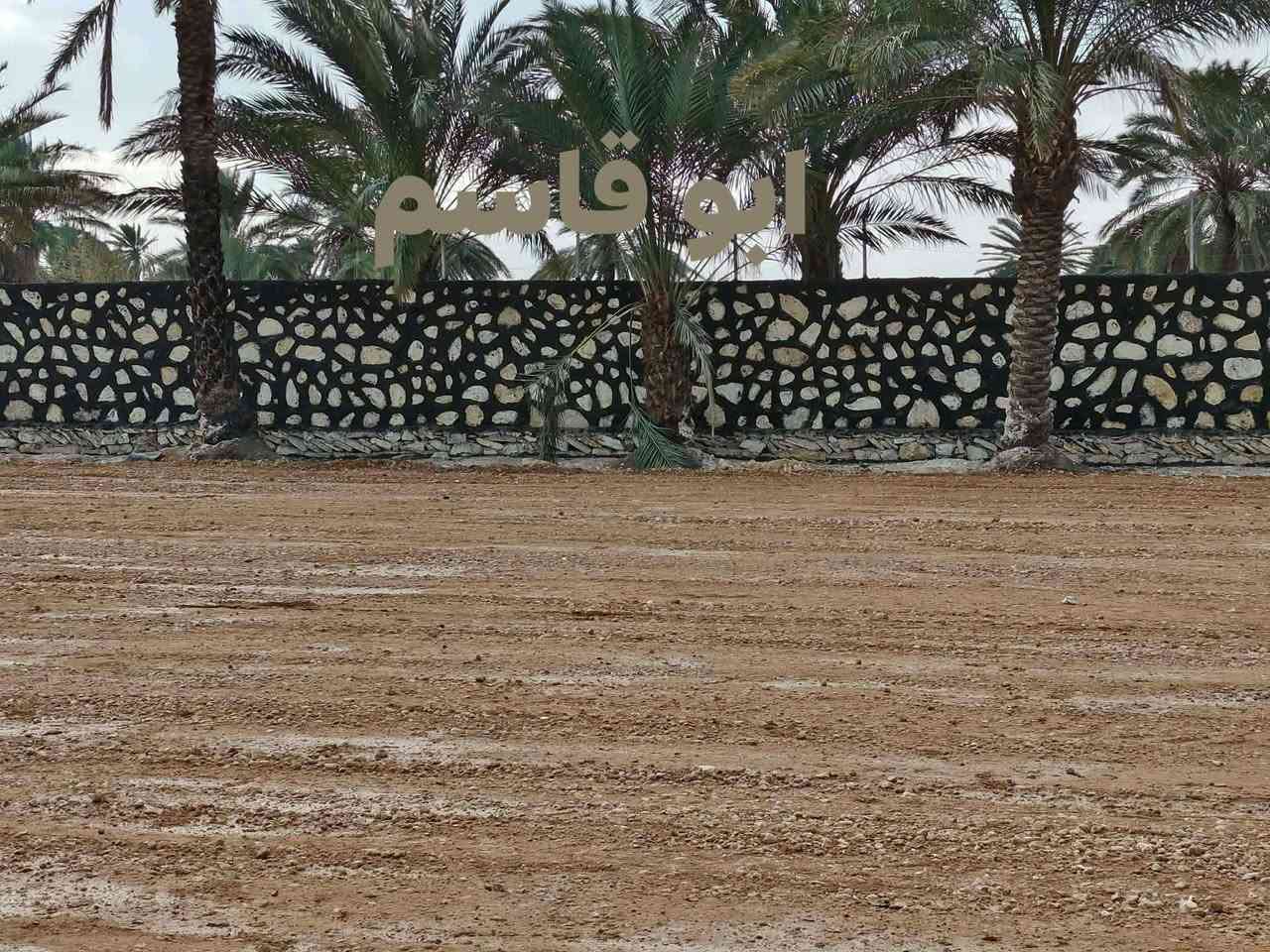 تم اكتمال سياج المهندس ابو حسين في الكفل أن شاء الله ينال اعجابكم 
عمل كل ما يخص الحجر بأسعار مناسبة للتواصل على الخاص او على الرقم *********** بيه واتساب
