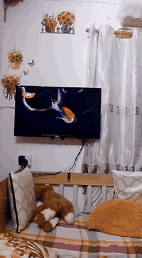 سلام عليكم بلازمه حجم ٣٢ نظيف كلش للبيع السعر ١٠٠بدون نت


**إذا كنت صاحب هذا الإعلان وتريد حذفه لأي سبب، رجاءا أرسل رسالة إلى الدعم الفني**