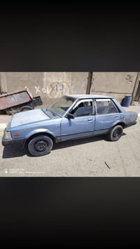 مازده • شغالة • بدون نمره