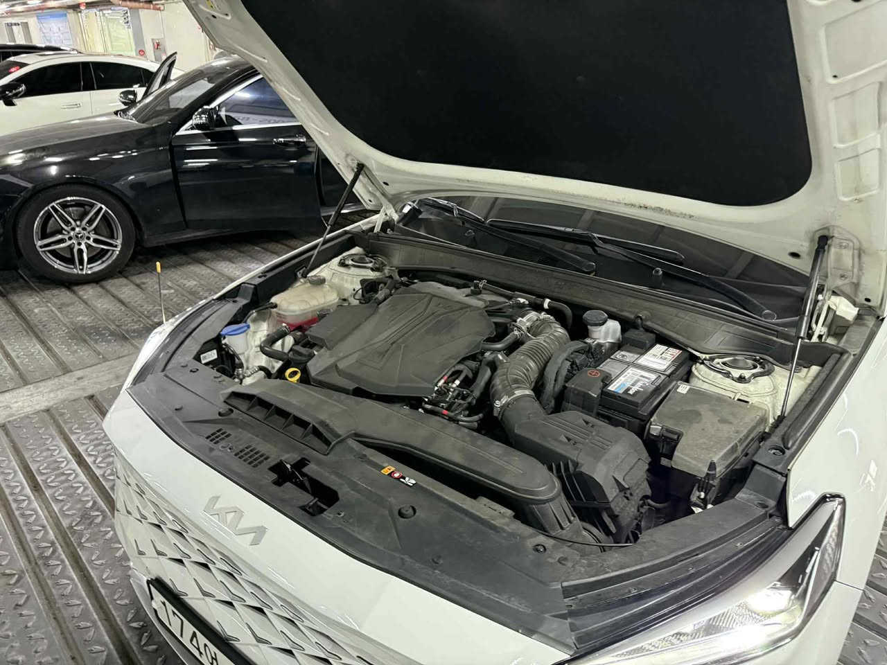 موديل 24تدخل بكتاب شهداء حاليا في عمان كفالة عامة استفسار ***********او///‭0772 381 7232‬مكاني ديوانية
