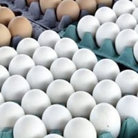 بيض ابيض • عراقي
