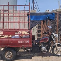 شايننج • منفيس • ١٨