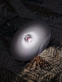 ديكور منزلي • توصيل