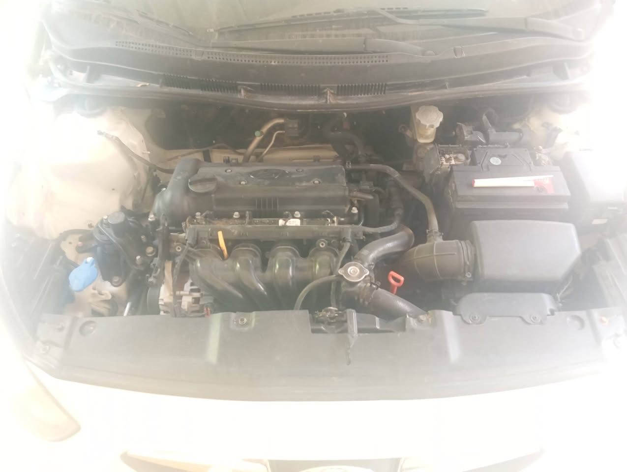 السلام عليكم 
اكسنت خليجي نجف 2014
ماشيه 138.000
مكفوله من الصبغ اي نقص مابيه 
فقط بارد دور جاملغ الأيمن والجاملغ الايسر
بسيط جدا 
محرك 1600 
فتحه 
مكانه بابل 
اشاير بالمرايه 
واتساب ***********
