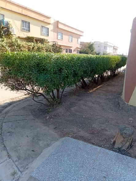 حديقجي في اربيل + تصميم وترتيب ديكورات 
زرع حدائق + أدامه شهريه+ زرع اشجار + تقليم الأشجار +قص ثيل 
تنظيف وترتيب الحدائق + قلب وتنظيف تربه ترتيب +
تبديل تربه + ترتيب سياج الحدائق بل الملون 
ترتيب اطارات الحدائق بل حصو الملون الاستفسار 

***********
