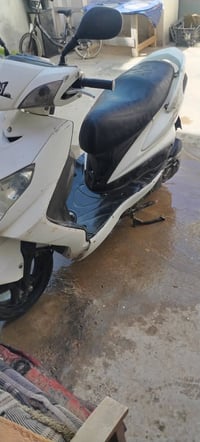 سكنس فحل • مامفتوح • سلف