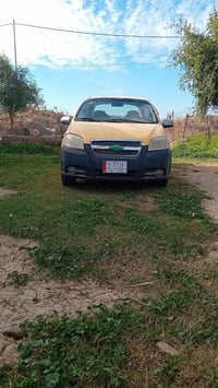 افيو ٢٠٠٩ • خليجي • رقم واسط