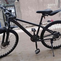 باسكل فول • عقرب