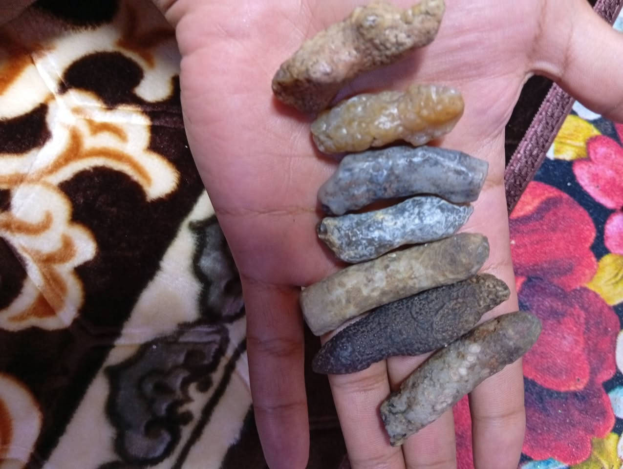 السلام عليكم هذني عروكه كديمات عدنه كلش مغربيات كلش قويات شلع ابيع مابيع مفرد السعر خاص العلوان بغداد توصيل موجود تحياتي


**إذا كنت صاحب هذا الإعلان وتريد حذفه لأي سبب، رجاءا أرسل رسالة إلى الدعم الفني**