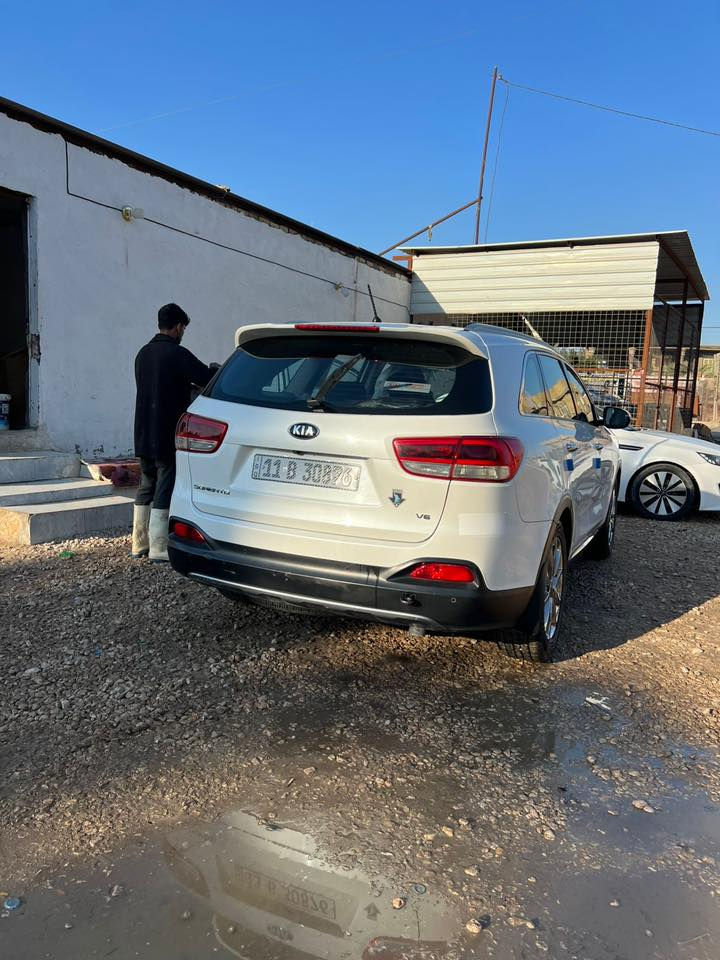 السلام عليكم سورنتو موديل 17 سياره جديده السياره بأسمي رقم بغداد هزه جديده سنويه ل29 مواصفات السياره بصمه جنطه ذكيه حساس امامي وخلفي مري شفط جلد لونين تبريد ٣قطع 7راكب تبريد ثلج السياره مكفوله كفاله عامه محرك 6سياره جديده حيل ماشيه 84تحويل ثاني يوم بعد هواي مواصفات السعر 235وبيها مجال بسيط للاستفسار متوفر واتساب ورقم ***********مكاني بابل
