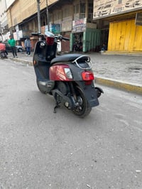 بوليس • كرزي • زعفرنية