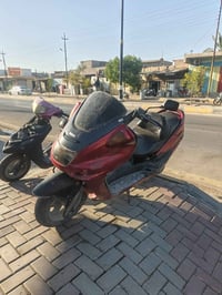ماجسته • شغاله • معدل