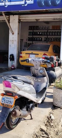 ماكس منغولي • مفتوحه مره • شاصي مكفول