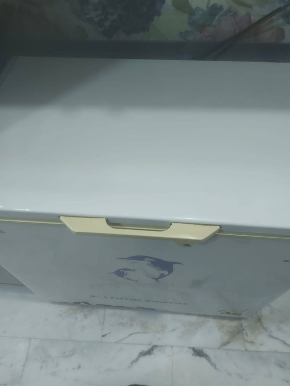 مجمده شرط الشغل نظيفه للبيع


**إذا كنت صاحب هذا الإعلان وتريد حذفه لأي سبب، رجاءا أرسل رسالة إلى الدعم الفني**