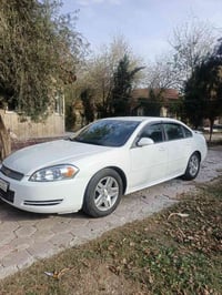 امبالا • ٢٠١٢ • رقم سليمانيه