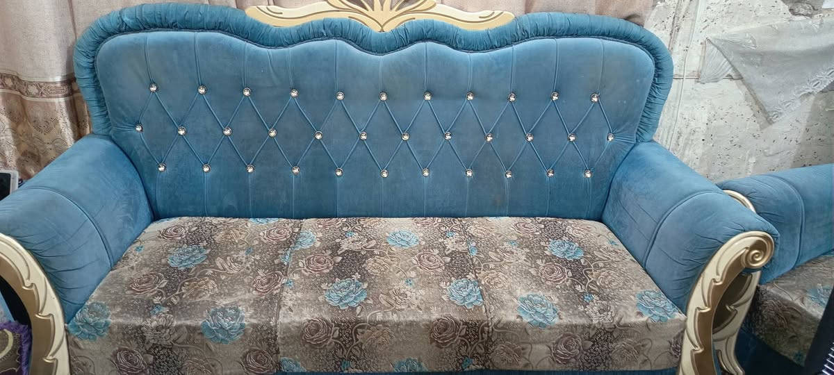 تخم نظيف للبيع  ابو تاج سعره 300لاتصال بلرقم ***********واتساب فقط
