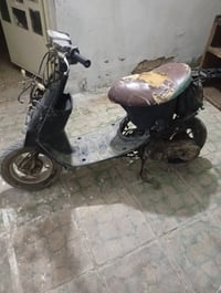 زعره • عوزه صالونصة • كوم حديد