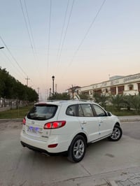 سنتافيا • ٢٠١١ • ١١٣ الف