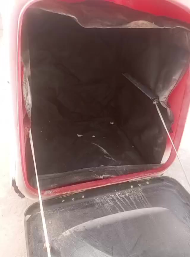 صندوك دلفري لون اصفر نضيف سعره 25
صندوك لون لأحمر بي كسر خفيف سعره 15 الف 

خوذه نضيفه سعر 13 الف


**إذا كنت صاحب هذا الإعلان وتريد حذفه لأي سبب، رجاءا أرسل رسالة إلى الدعم الفني**