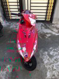 ماكس • كفالة • ٥ أشهر