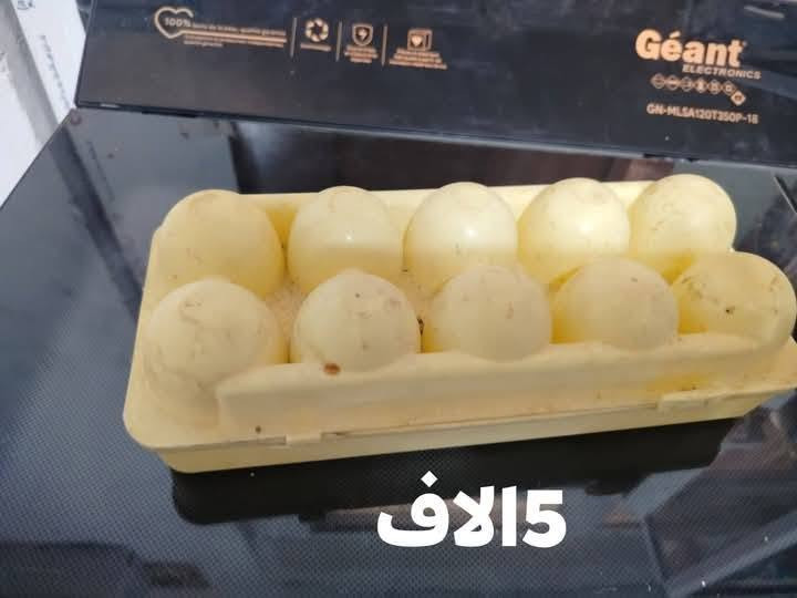 للبيع 
سيدي خالد ومتوفر التوصيل


**إذا كنت صاحب هذا الإعلان وتريد حذفه لأي سبب، رجاءا أرسل رسالة إلى الدعم الفني**