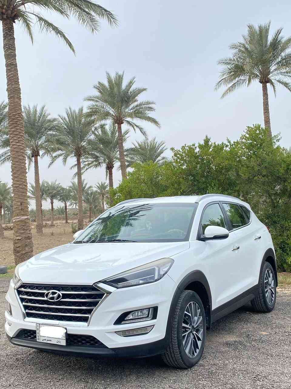 السلام عليكم
توسان خليجي 2020 رقم بابل
مكفوله  فول عدا البانوراما 
ماشيه 79   قابل للزيادة
مكانها حله
موبايل/ ***********
***********
