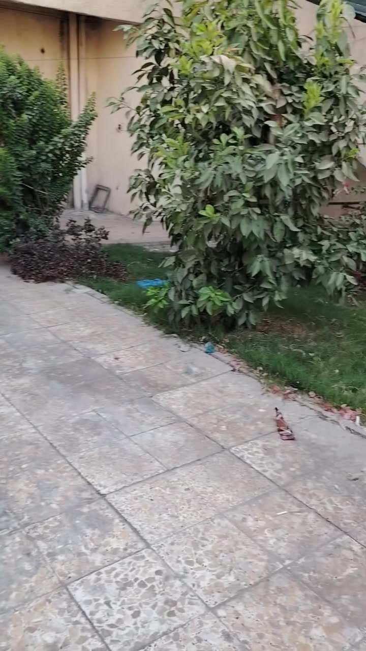 السلام عليكم

دار مساحه 160م طابق ارضي للأيجار
كراج
حديقه
صاله
مطبخ
حولي
غرف نوم 2 وحده 4ب5 والثانيه 3ب3ونص
حمام
السعر 650الف اجاره
غزاليه شارع المشجر مربع أسواق تازة
للإستفسار *********** *********** مكتب الطائي غزاليه شارع المشجر
