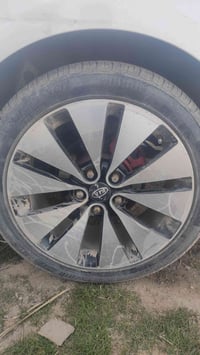 ويل رياضي • مقاس ١٨ • بابل قضاء القاسم