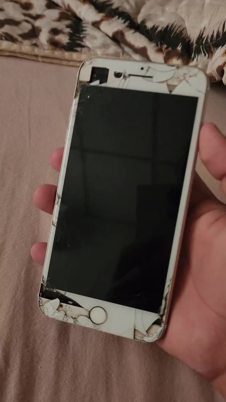 سلام عليكم
ايفون 7 plus
ذاكرة 32
شغال مابي اشكال
 فقطططططط
 الشاشة بيها ملاحضات ..والمايك وصوت الجهاز مو صافي يعني مو واضح كلش. واللمس فقط النص الي بالعرض ما يلمس زين. والفيديو كدامكم
بصمة سيمكارت وايفاي كاميرات بصمة كلشي يشتغل 
سعر ٣٥ وبي مجال بسيط جداً.

بغداد حي المواصلات 
***********
