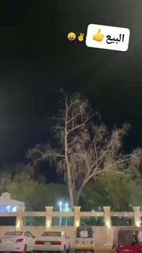 بايسكل • برجستون • ٢٠٢١