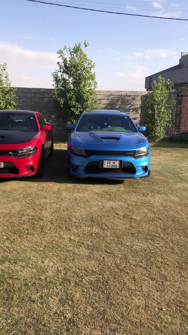 للبيع سلام عليكم ورحمة الله وبركاته جارجر RT 2017 فول مواصفات 1/1 ماعدا الفتحه اكشانات جلد تدفئه وتبريد ستيرن تدفئه حادث بنيد مصبوغ كير ومكينه كفاله كير طياره سياره طياره السعر 195 وبيها مجال شي قليل الهاتف ***********
