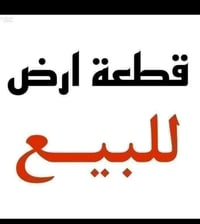 طابو زراعي • ٢٥٠٠م • حله ديوانيه