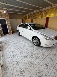 سوناتا • ٢٠١٣ • كفالة