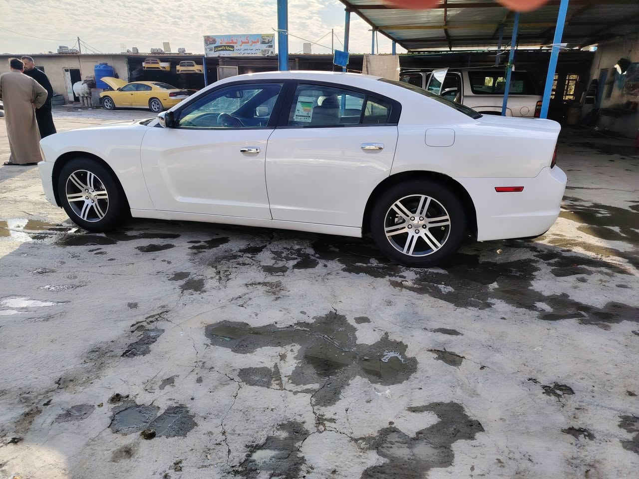 جارجر 13  ابيض صدفي
حادث جاملغ وبنيد

مكفوله كير مكينه اكسن حداديه

رقم دهوك انكليزي 

شاشه جبير 

كير عصه

السعر 162

موجوده في الشطره

للاستفسار 

***********
