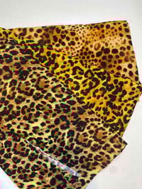 كشمير تركي • مترين ونص • جملة ومفرد