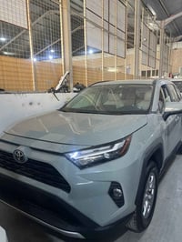 راف فور XLE • رقم اربيل • الفلوجه