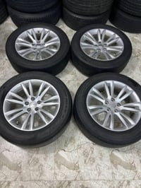 تخم ويل وباما مكسيكي البيع 07819622427