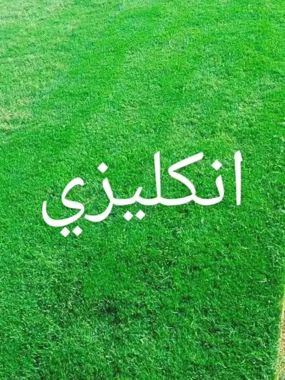 السلام عليكم 🌱🇮🇶
لكل شخص يشوف هالكلام، إحنا عدنا مشروع ثيل طبيعي وتشجير وحدائق، وهدفنا مو بس تجارة أو شغل، هدفنا الحقيقي نخدم العراق ونزيد المساحات الخضراء ونخلي مدننا وشوارعنا وبيوتنا أجمل وأرتب 🌿
الثيل الطبيعي مو بس منظر حلو، لا، يساعد بتخفيف الحرارة ويعطي راحة وجمالية للمكان ويخلي الجو أهدأ وأرتب 🌴
وإحنا نوفر أنواع ثيل طبيعي ممتازة وتجهيز مرتب يناسب: الحدائق، الدوارات، البيوت، المنتزهات، الملاعب، والمشاريع الكبيرة والصغيرة.
وكل شخص يحب يدعم فكرة تخدم البيئة وتخلي بلدنا أحلى وأخضر، فأهلاً وسهلاً بيه ❤️🇮🇶
📞 للتواصل: ***********
***********
إيد بإيد نكدر نسوي بصمة حلوة ونخلي العراق أخضر وأجمل 🌱
